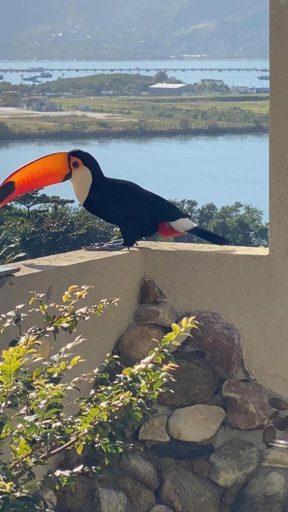 Casa De Praia Com Vista Para O Mar Sao Sebastiao  Zewnętrze zdjęcie